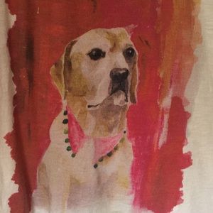 Anthropologie Meadow Rue XS